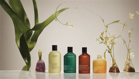 aveda perfumes|which aveda chakra smells best.